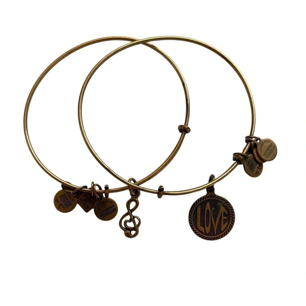 🫶🏻 Alex and Ani Love & Music Note Set